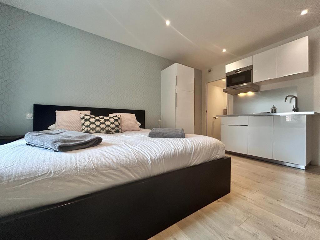 Tour D'Auvergne - Appartements En Plein Centre Ville, Proche De La Cathedrale Et De La Place De Jaude Clermont-Ferrand Buitenkant foto