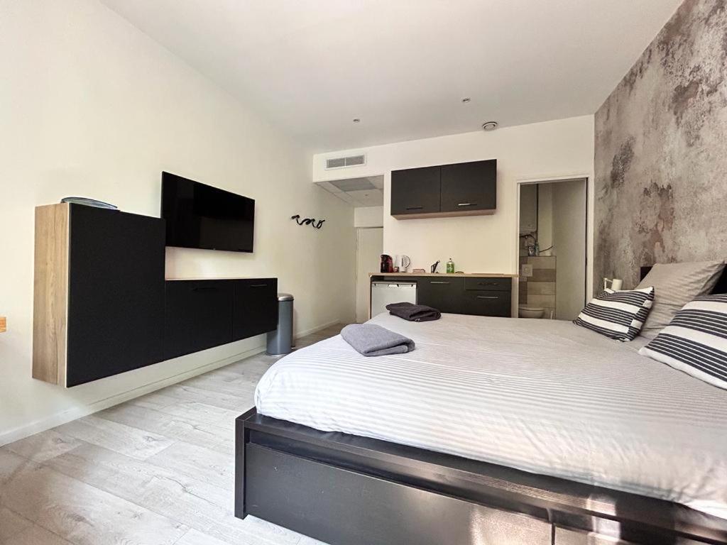 Tour D'Auvergne - Appartements En Plein Centre Ville, Proche De La Cathedrale Et De La Place De Jaude Clermont-Ferrand Buitenkant foto